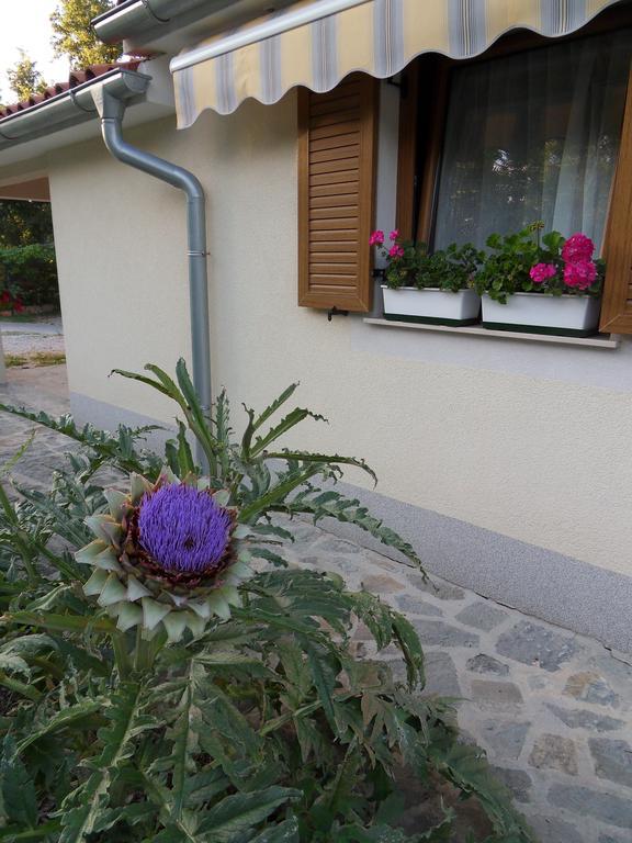 Apartma Istra Zora Sečovlje Exteriér fotografie