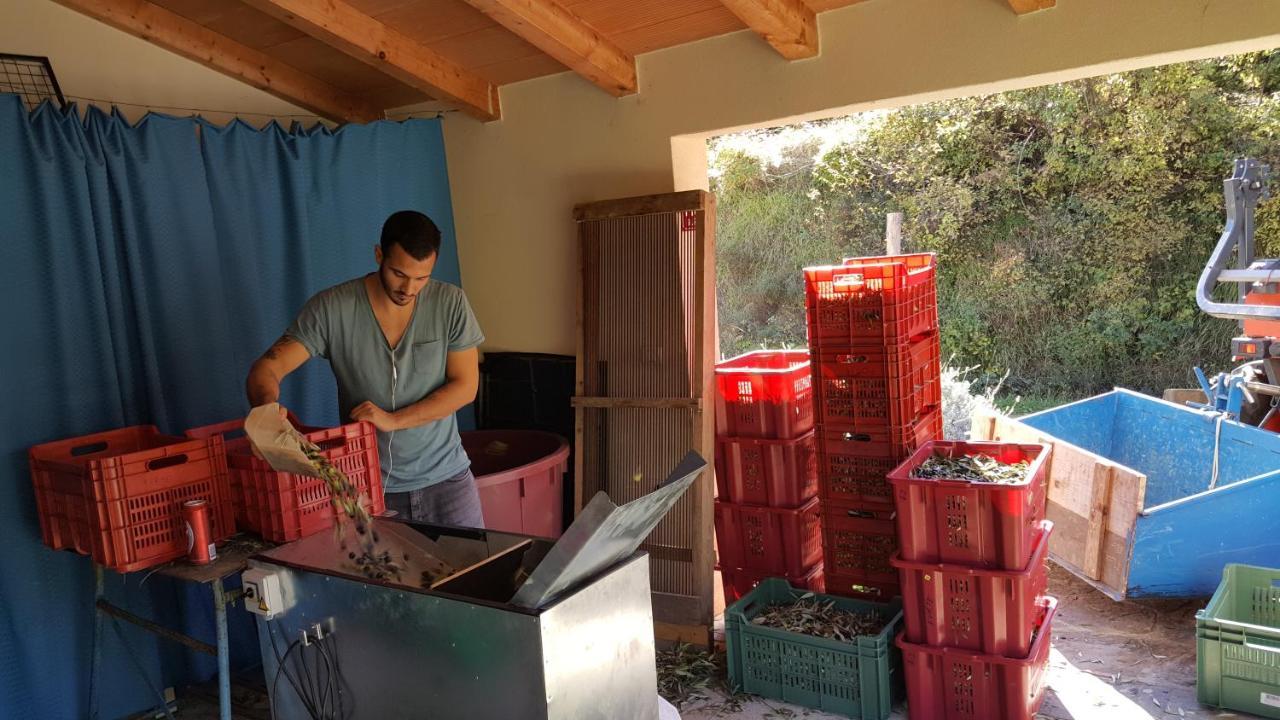 Apartma Istra Zora Sečovlje Exteriér fotografie